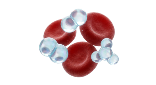 Red blood cells carrying oxygen
